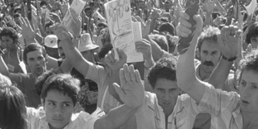 A group of protestors raising their arms