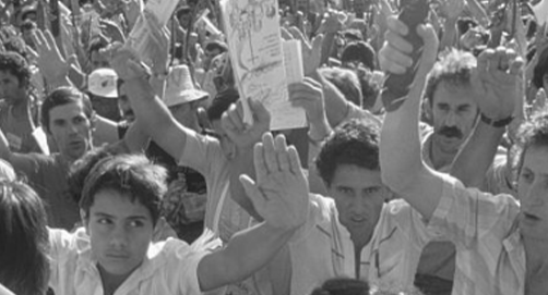 A group of protestors raising their arms